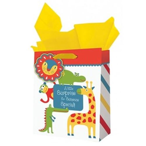A Little surprise for Someone Special - Medium Gift Bag