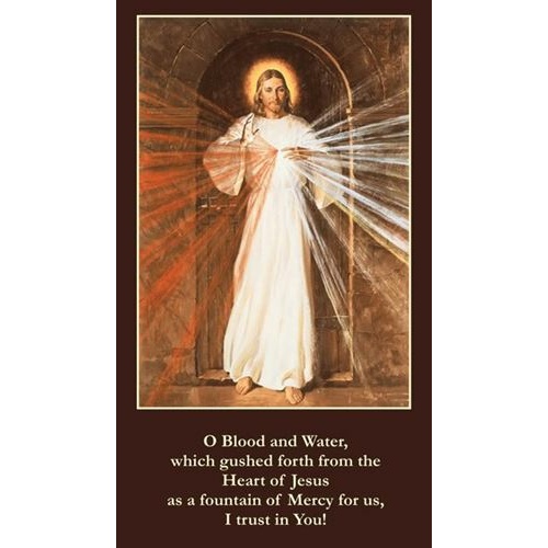 Divine Mercy prayer card